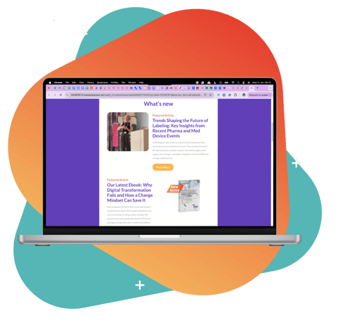 V2 newsletter subscriber img