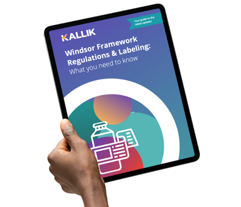 v2 windsor frmwk guide mock up img